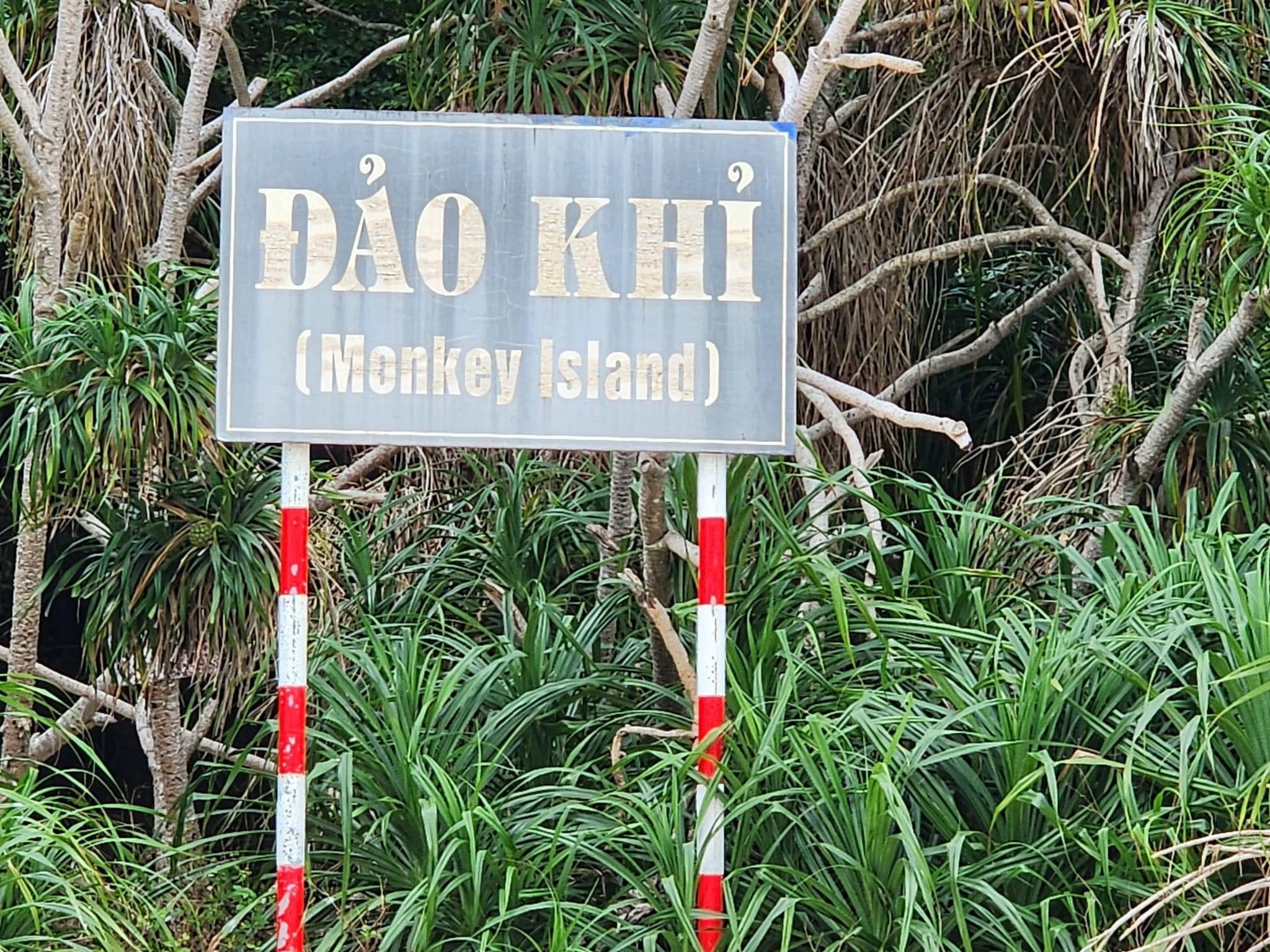 Explore Monkey Island