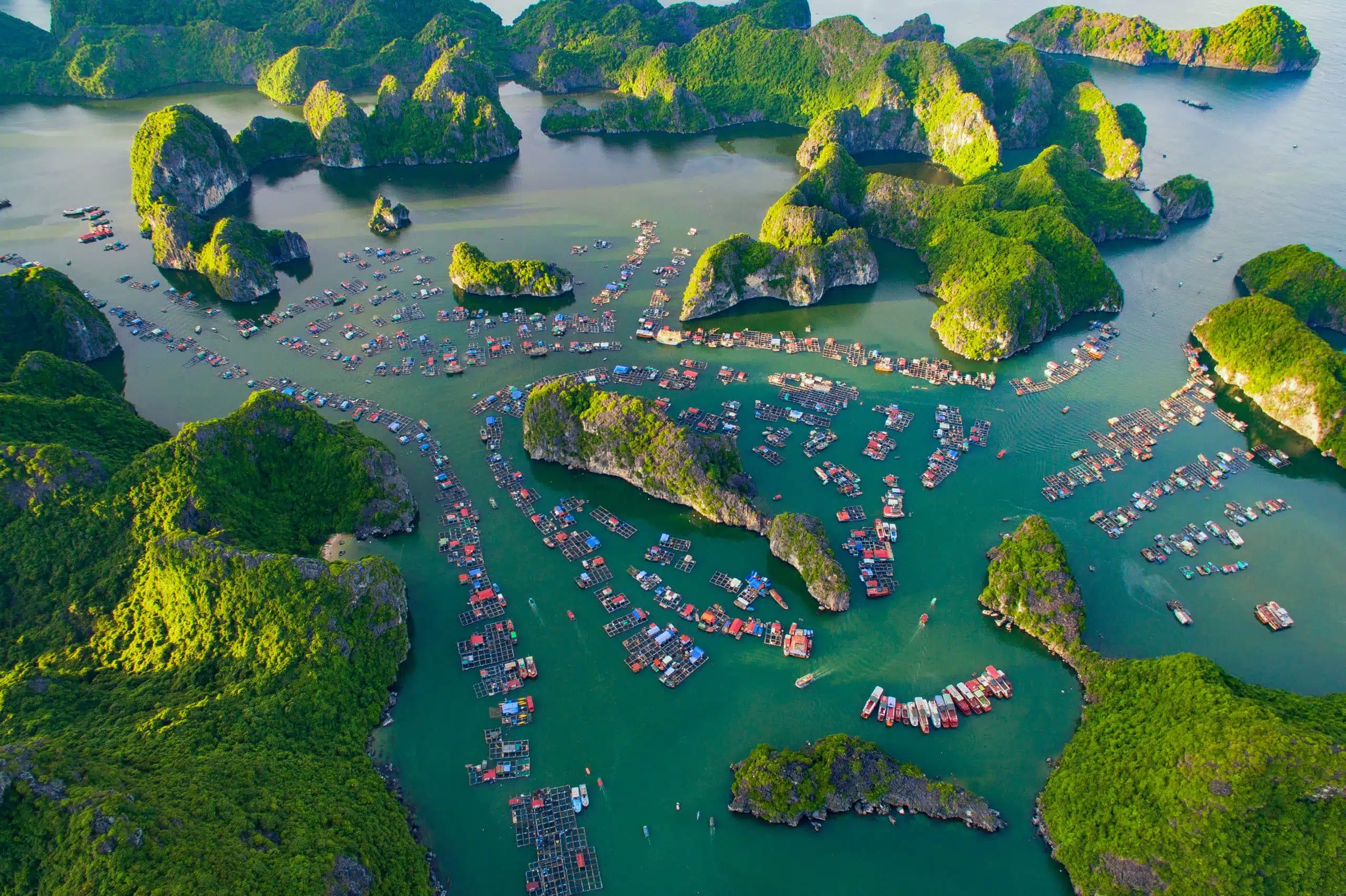 Travel Experience at Lan Ha Bay, Cat Ba 2024