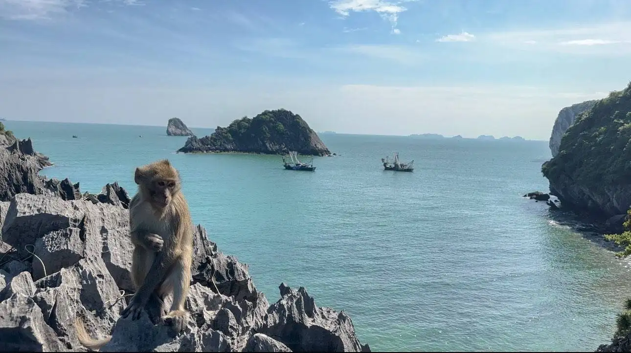 Lan Ha Bay Cruises