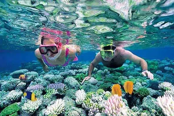 Travel Experience at Lan Ha Bay, Cat Ba 2024