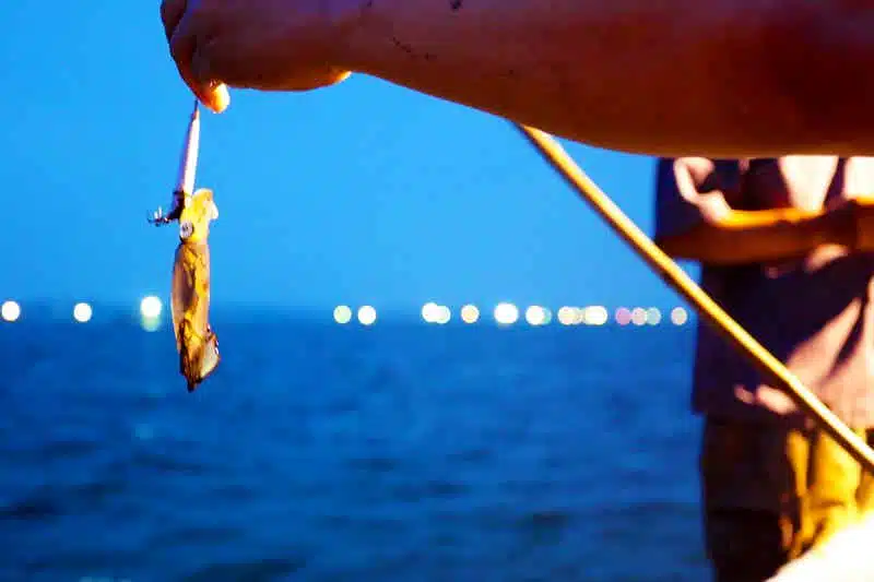 Lan Ha Bay Cruises
