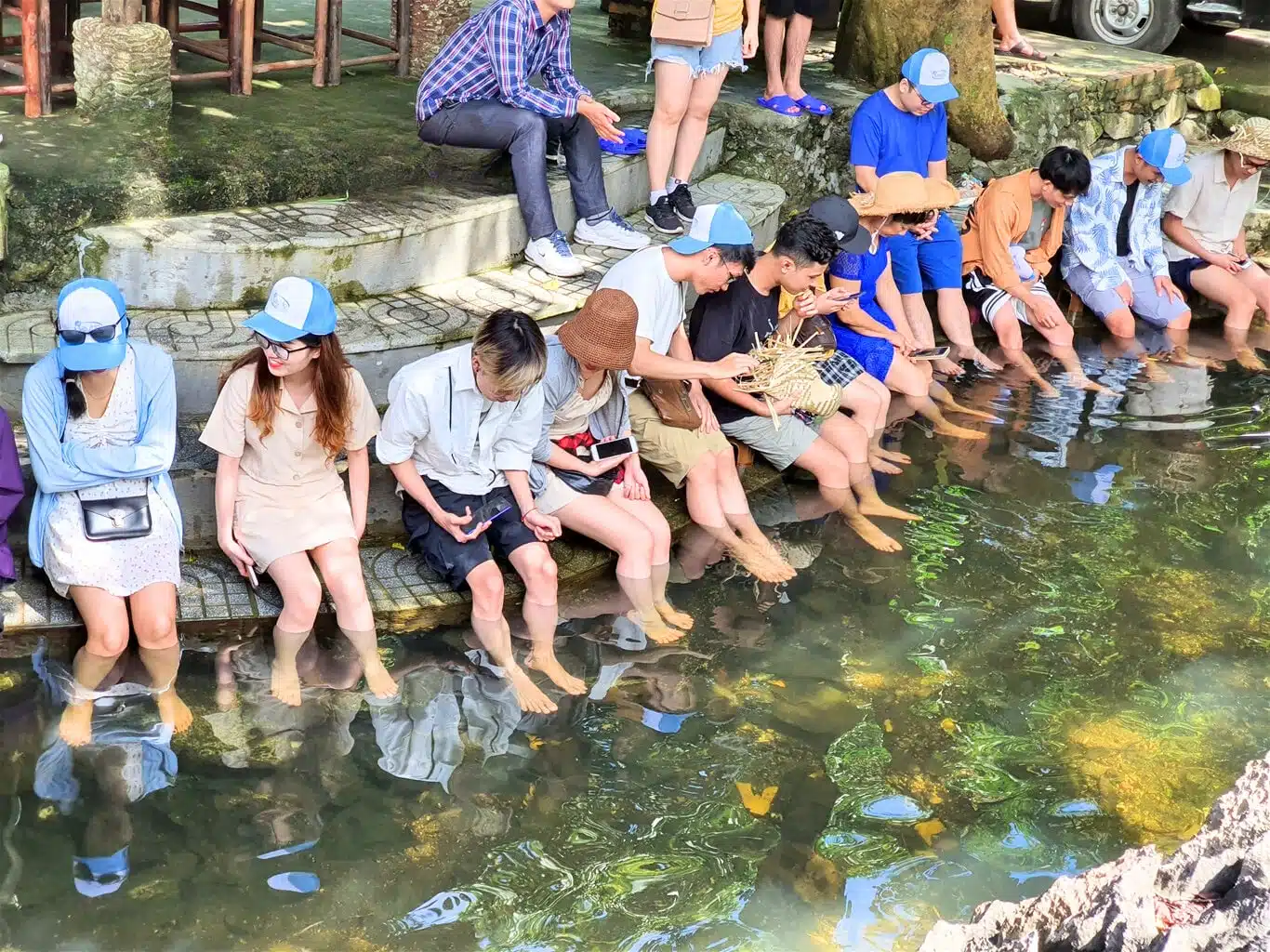 Experience fish foot massage in viet hai village