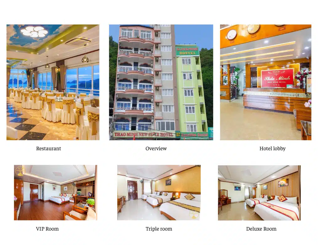 3 Days 2 Nights  (1 night Cat Ba + 1 night Daiichi Boutique Cruise)