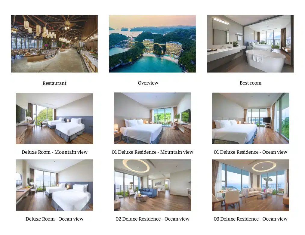 3 Days 2 Nights  (1 night Cat Ba + 1 night Daiichi Boutique Cruise)