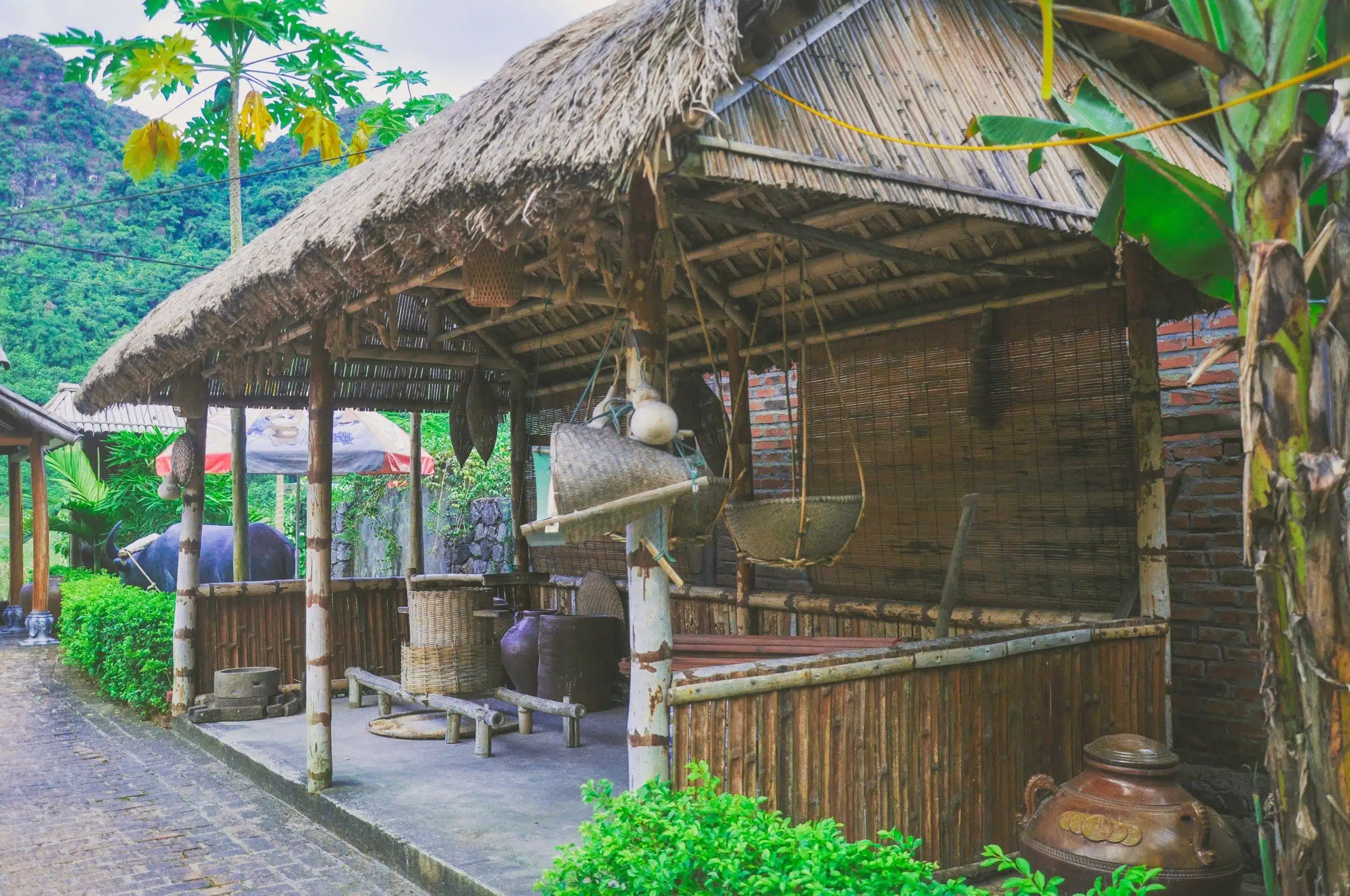 Viet Hai Village Cat Ba – Travel guide 2024