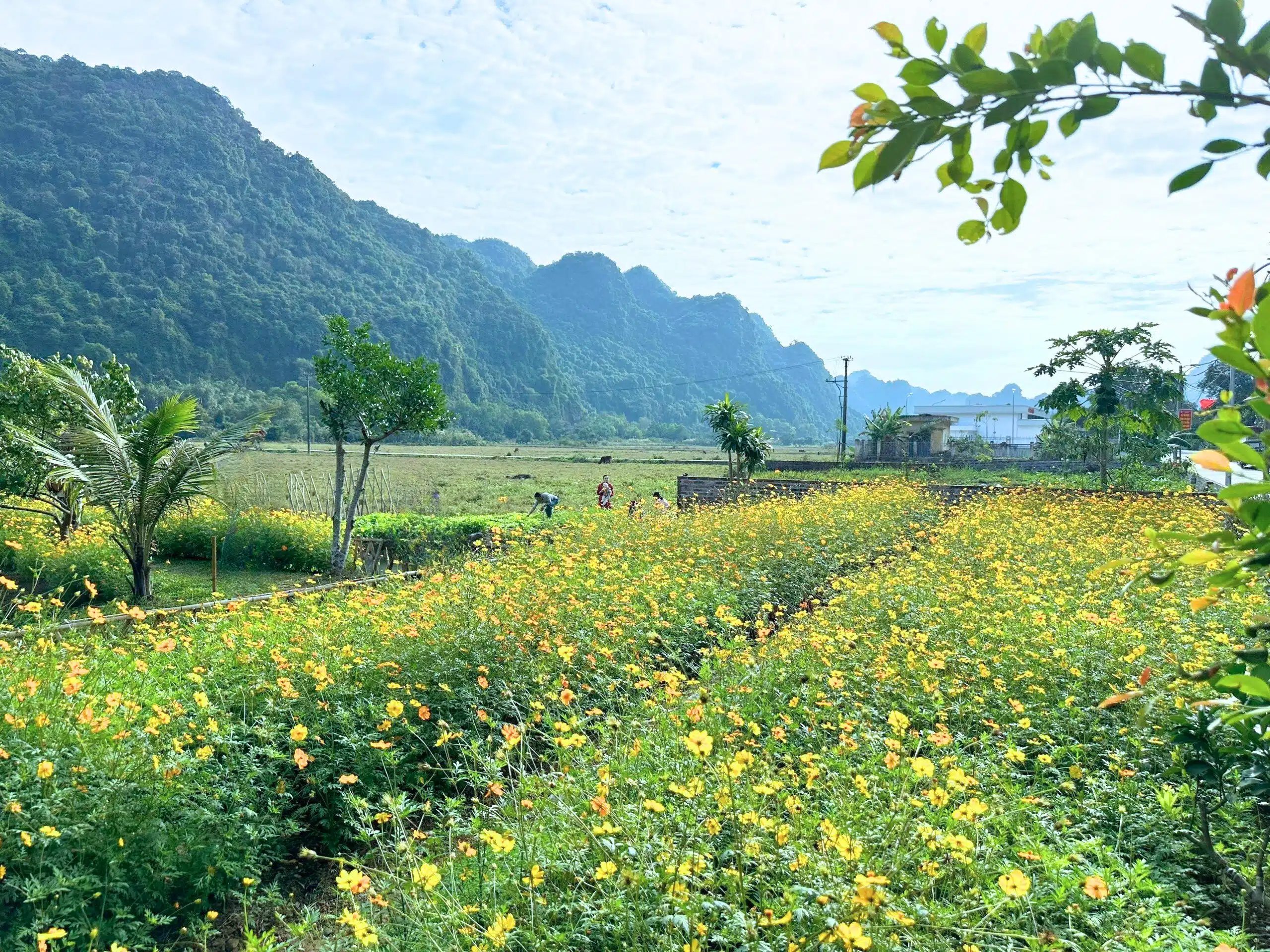 Viet Hai Village Cat Ba – Travel guide 2024